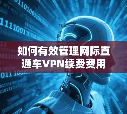 如何有效管理网际直通车VPN续费费用