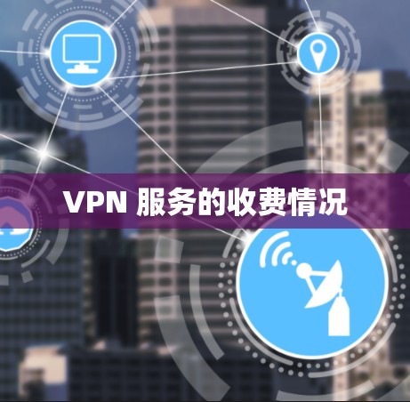 VPN 服务的收费情况