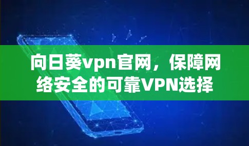 向日葵vpn官网,保障网络安全的可靠VPN选择 向日葵vpn官网,保障网络安全的可靠VPN选择