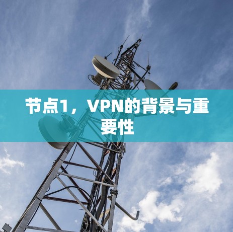 节点1,VPN的背景与重要性 节点1,VPN的背景与重要性