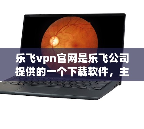 乐飞vpn官网是乐飞公司提供的一个下载软件，主要提供游戏、软件和工具下载服务。为了下载乐飞vpn，建议以下步骤