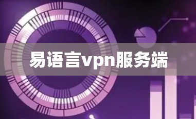 易语言vpn服务端 易语言vpn服务端