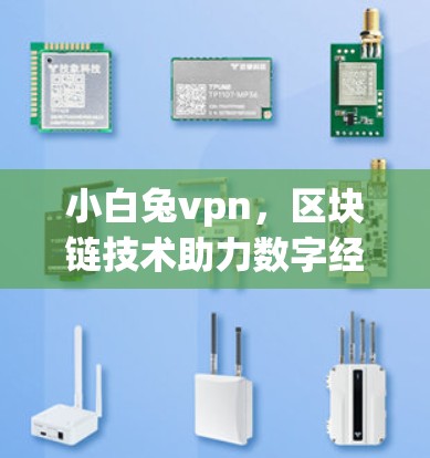 小白兔vpn,区块链技术助力数字经济发展 小白兔vpn,区块链技术助力数字经济发展