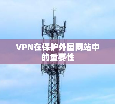 VPN在保护外国网站中的重要性 VPN在保护外国网站中的重要性