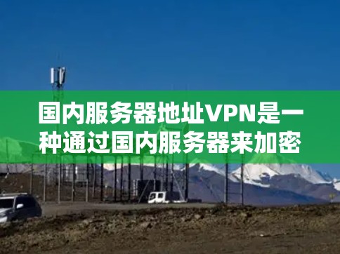 国内服务器地址VPN是一种通过国内服务器来加密和保护服务器地址访问的VPN服务。它通常使用国内的网络环境和运营商提供的技术支持，确保数据安全和传输。以下是关于国内服务器地址VPN的详细介绍