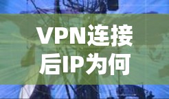 VPN连接后IP为何不变？实际操作中的常见问题
