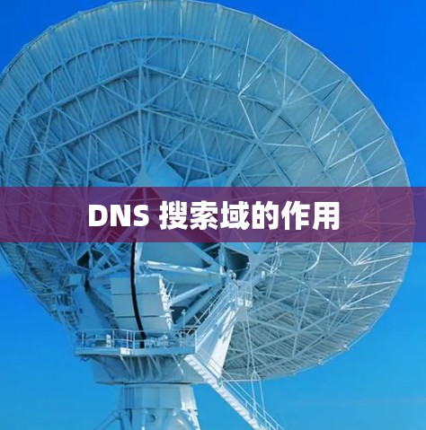 DNS 搜索域的作用 DNS 搜索域的作用
