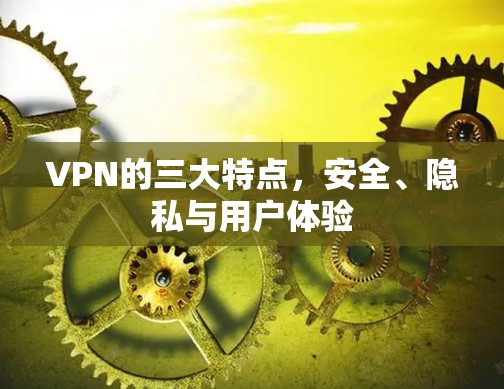 VPN的三大特点,安全、隐私与用户体验 VPN的三大特点,安全、隐私与用户体验