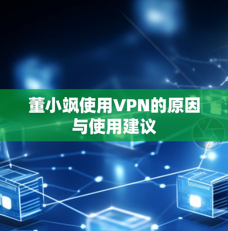 董小飒使用VPN的原因与使用建议 董小飒使用VPN的原因与使用建议