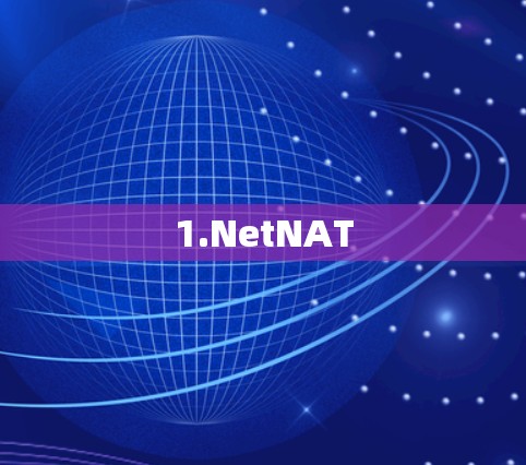 1.NetNAT 1.NetNAT