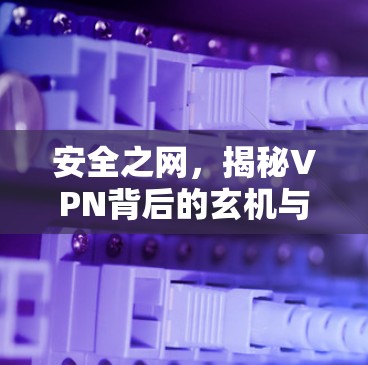 安全之网,揭秘VPN背后的玄机与陷阱 安全之网,揭秘VPN背后的玄机与陷阱