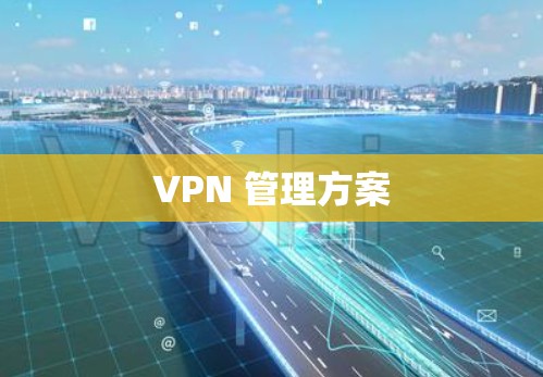 VPN 管理方案