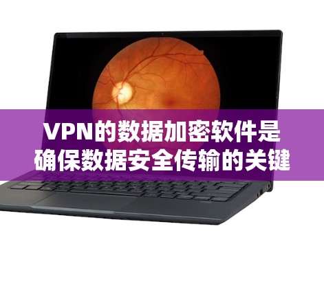 VPN的数据加密软件是确保数据安全传输的关键工具。以下是对这些软件的详细介绍,帮助您做出明智的选择 VPN的数据加密软件是确保数据安全传输的关键工具。以下是对这些软件的详细介绍,帮助您做出明智的选择