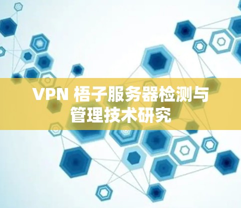 VPN 梧子服务器检测与管理技术研究 VPN 梧子服务器检测与管理技术研究