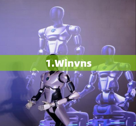 1.Winvns 1.Winvns