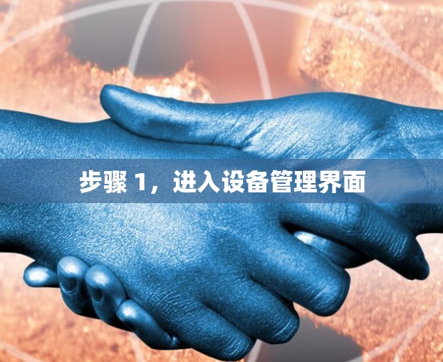 步骤 1,进入设备管理界面