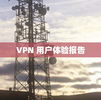 VPN 用户体验报告 VPN 用户体验报告