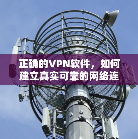 正确的VPN软件,如何建立真实可靠的网络连接 正确的VPN软件,如何建立真实可靠的网络连接